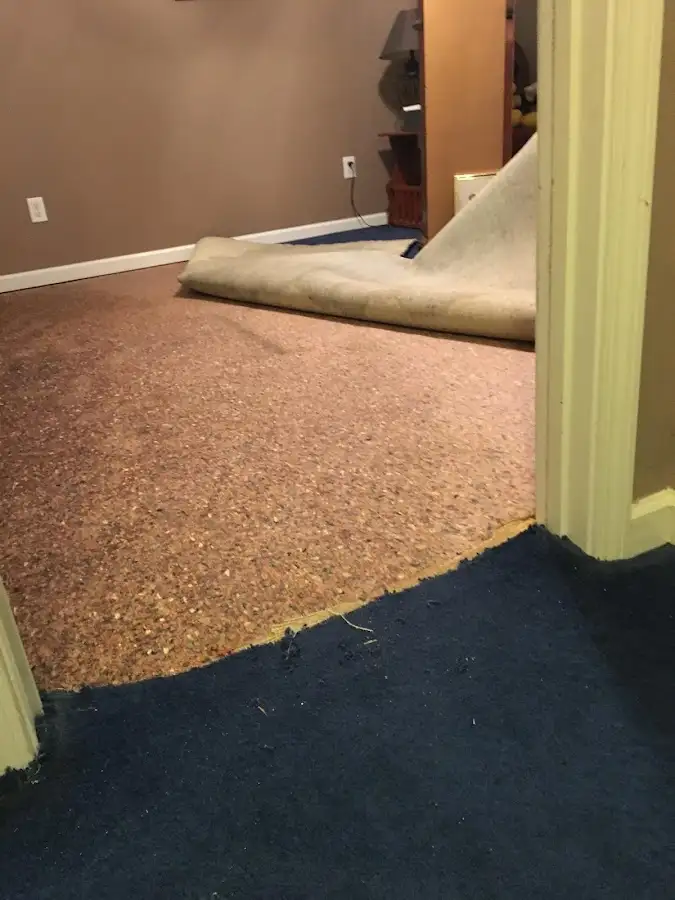 Carpet pad removal revealing water damage during Drying & Dehumidification in South Laurel