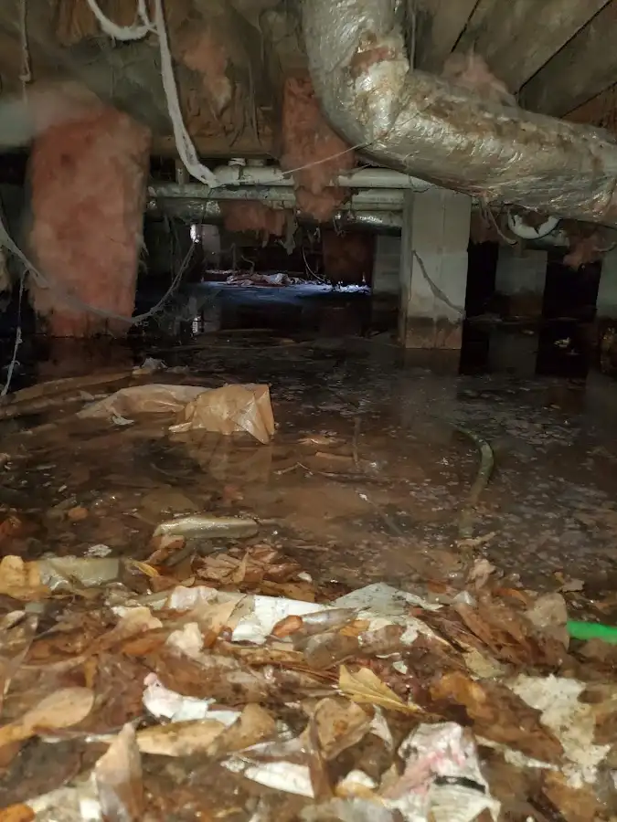 Crawl space flood assessment for Commercial Water Damage Restoration in South Laurel
